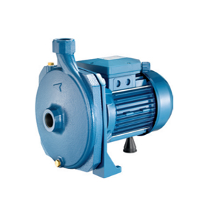 Máy bơm dân dụng Pentax CMT 164