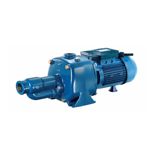 Máy bơm dân dụng Pentax CABT 300