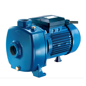 Máy bơm dân dụng Pentax MB 200