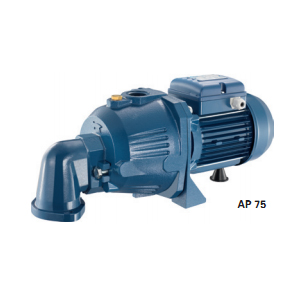 Máy bơm dân dụng Pentax AP100