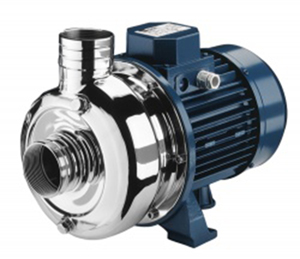 Bơm bùn đặt cạn Ebara Dwo300