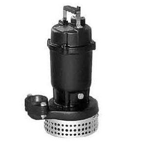 Máy bơm chìm Ebara 65DS 53.7