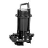 may-bom-chim-ebara-50dvs-51-5 - ảnh nhỏ  1