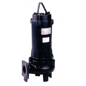 Máy bơm chìm Ebara 65DVS 51.5