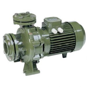 Máy bơm nước Saer IR65-125B