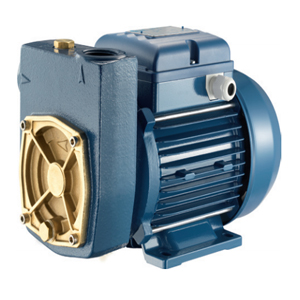 Máy bơm dân dụng Pentax MD 100